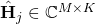 \hat{\mathbf{H}}_j\in \mathbb{C}^{M\times K}